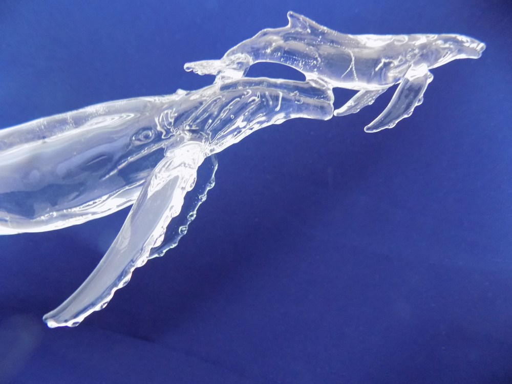 whales-in-deep-blue-sea-up-close