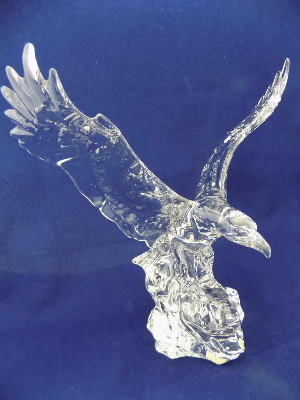 Eagle on a Mountain top #1