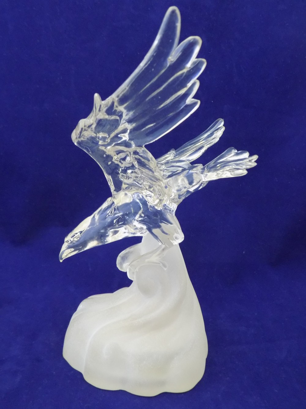 Eagle ready to Strike! #3